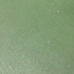 Meet your Posher, Carey